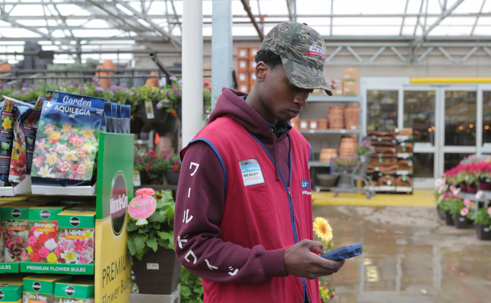 Lowe's background